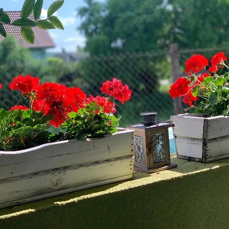 Zeleny Dom Kwatera prywatna Podhájska