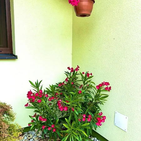 Kwatera prywatna Zeleny Dom Podhájska