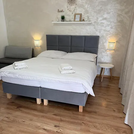 Zeleny Dom Accommodatie bij particulieren *